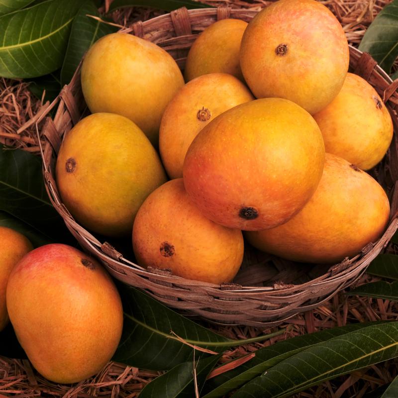 Mangoes